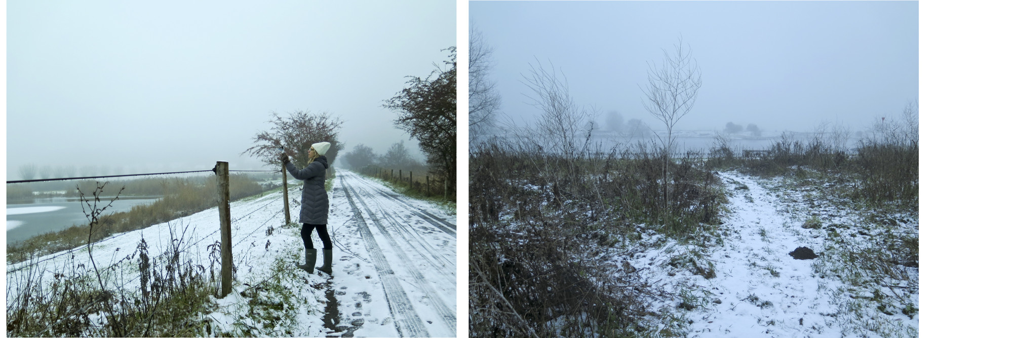 snow and mist in uiterwaarden